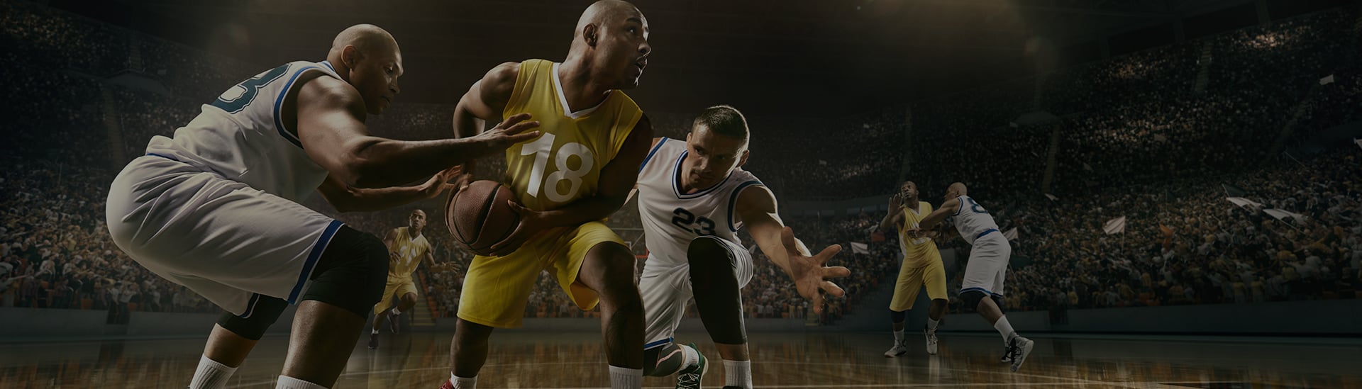 Sports Venue Solutions